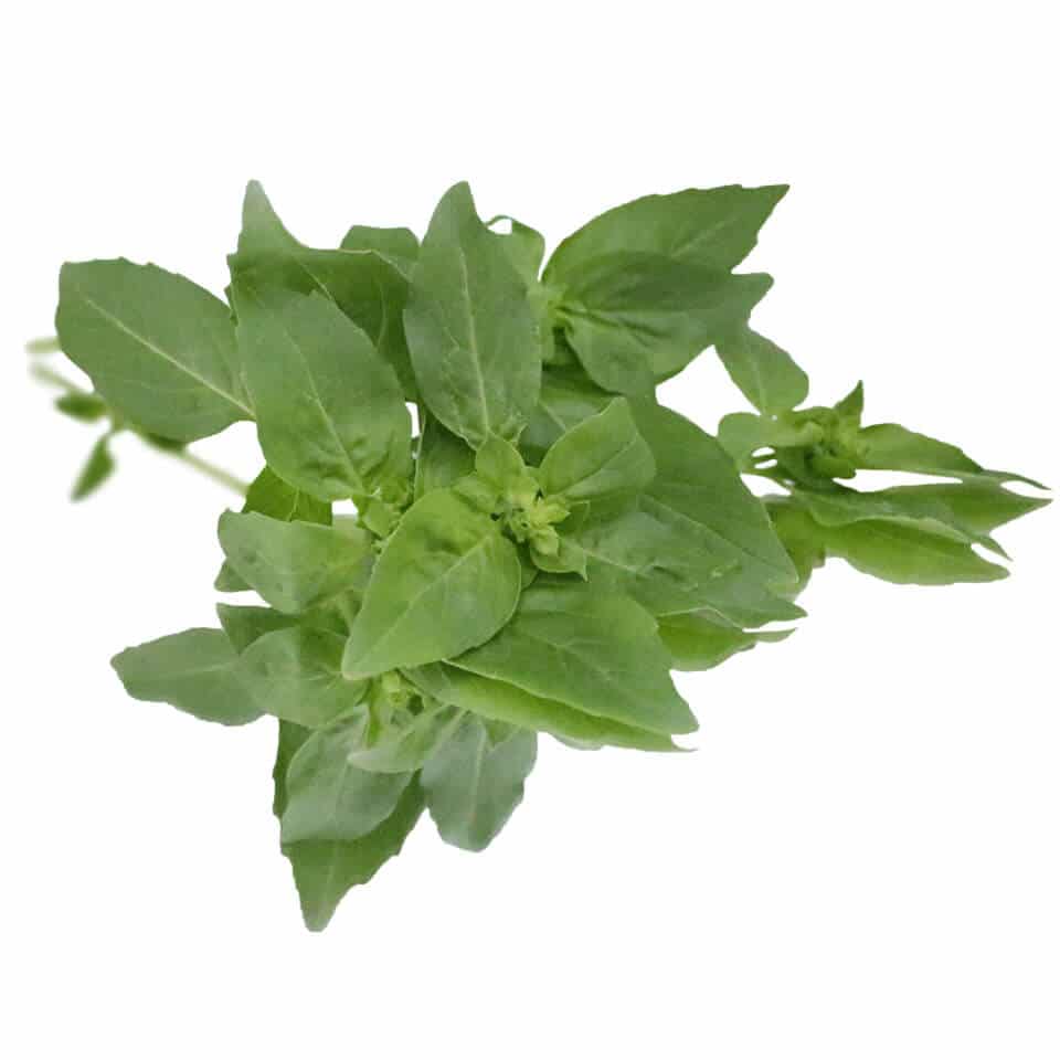 basil 3